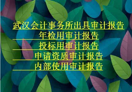 招投标公司会计（招投标公司会计处理）