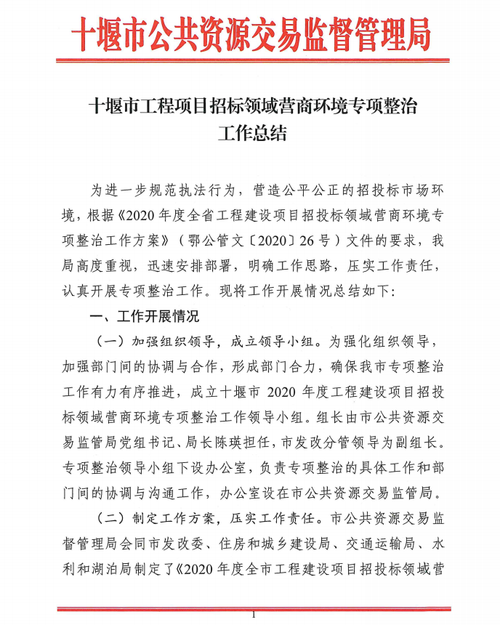 工程招投标整治工作总结（工程项目招投标领域专项整治工作方案）