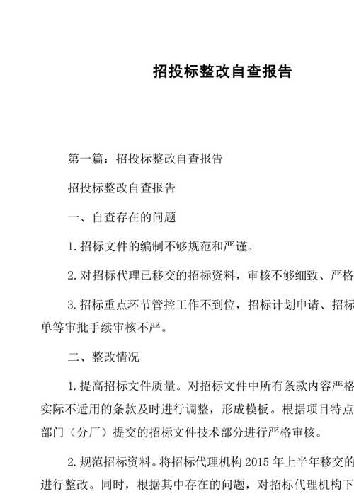 项目招投标工作整改(项目招投标工作整改报告范文)