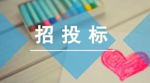 政府招投标选择招投标公司（政府 招投标）