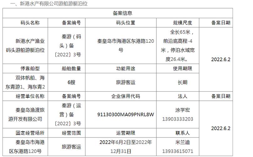 重庆游轮招投标公告网(重庆游轮招投标公告网官网)