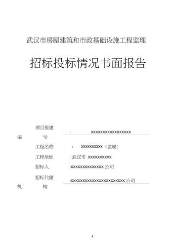 招投标监督信息报道（招投标监督报告怎么写）