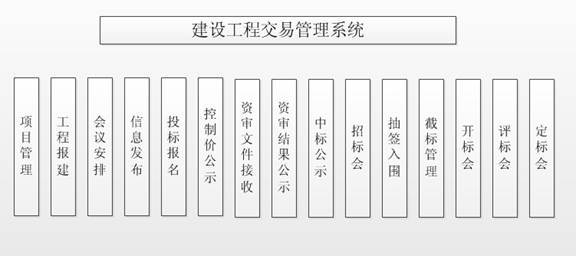 新能源项目招投标信息系统（信息系统项目招投标几个环节）