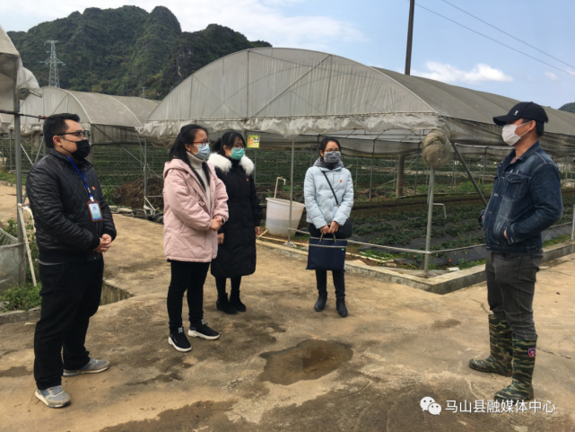 马山农业项目招投标（马山农产品中心）