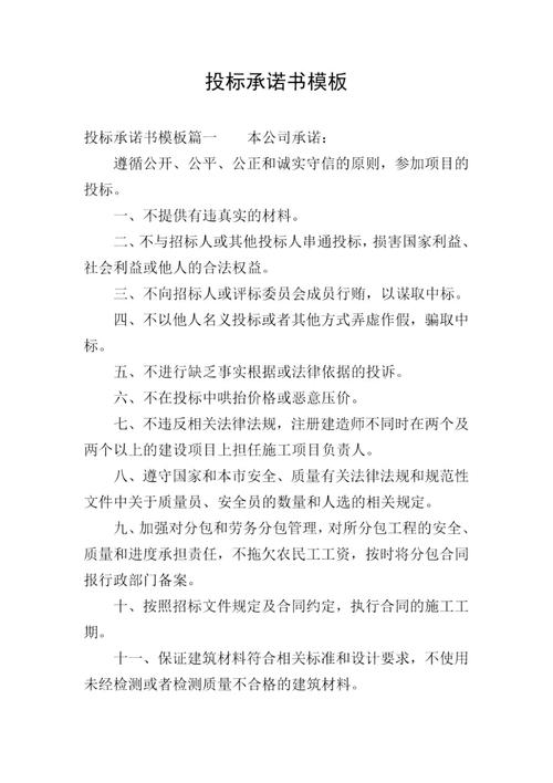 政府招投标文件承诺(政府招投标文件承诺书范本)