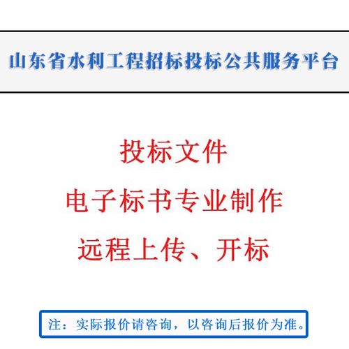 成都水利工程招投标平台（山东省水利工程招投标平台）