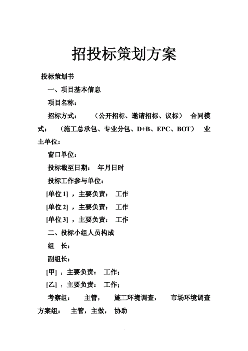 招投标项目计划（招投标项目计划书范文）