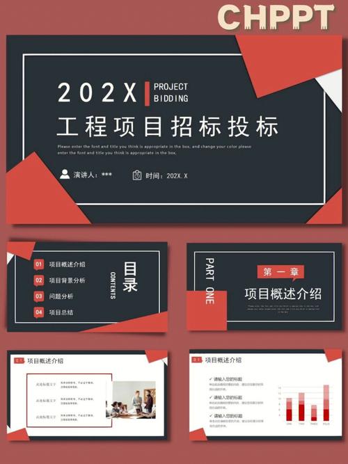 项目招投标.ppt（项目招投标ppt）