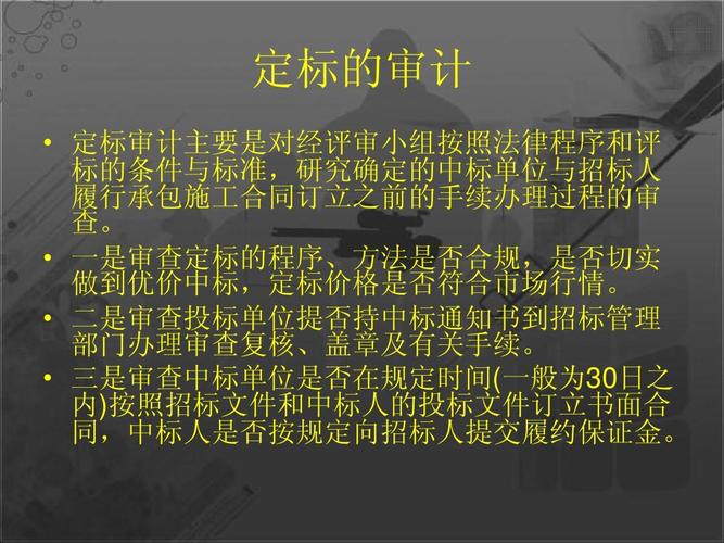 招投标审计项目管理公司（招投标审计是做什么的）