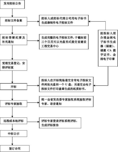 项目电子招投标（电子招投标流程）