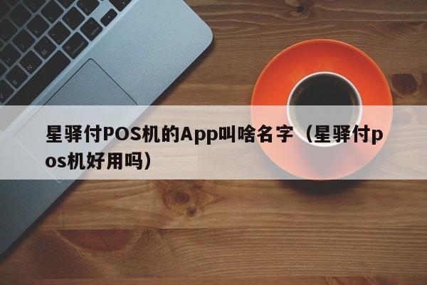 星驿付POS机的App叫啥名字（星驿付pos机好用吗）