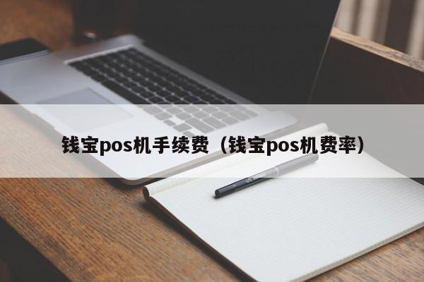 钱宝pos机手续费（钱宝pos机费率）