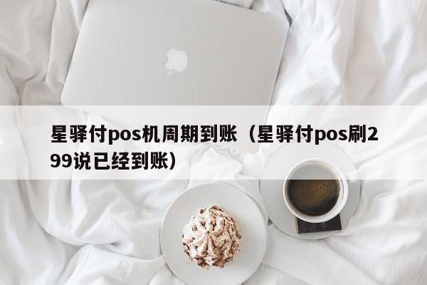 星驿付pos机周期到账（星驿付pos刷299说已经到账）