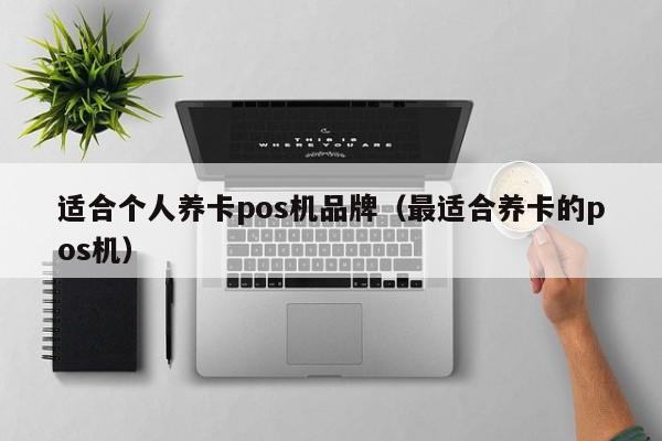 适合个人养卡pos机品牌（最适合养卡的pos机）