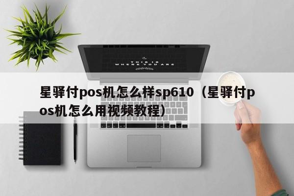 星驿付pos机怎么样sp610（星驿付pos机怎么用视频教程）