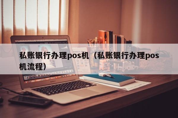 私账银行办理pos机（私账银行办理pos机流程）