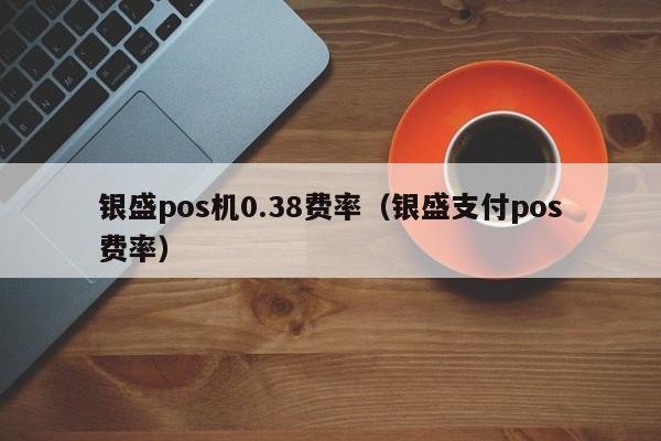 银盛pos机0.38费率（银盛支付pos费率）