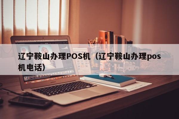 辽宁鞍山办理POS机（辽宁鞍山办理pos机电话）