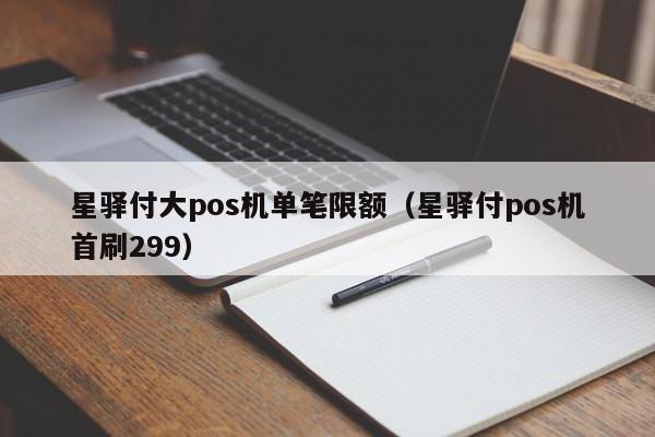 星驿付大pos机单笔限额（星驿付pos机首刷299）