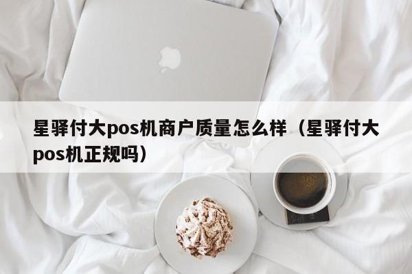 星驿付大pos机商户质量怎么样（星驿付大pos机正规吗）