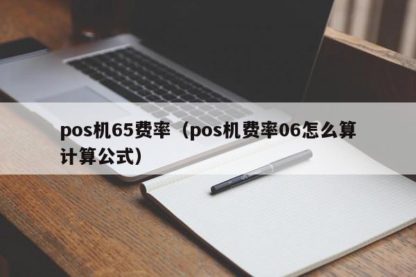 pos机65费率（pos机费率06怎么算计算公式）