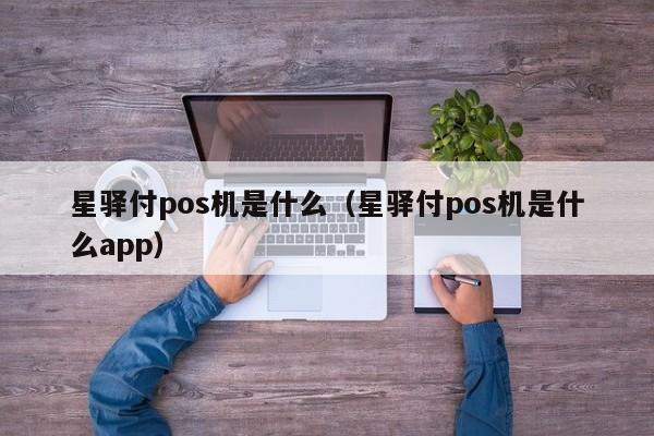 星驿付pos机是什么（星驿付pos机是什么app）