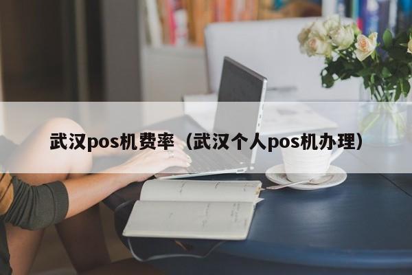 武汉pos机费率（武汉个人pos机办理）