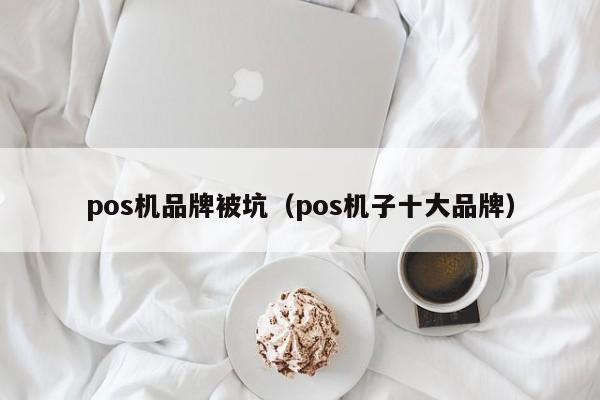 pos机品牌被坑（pos机子十大品牌）