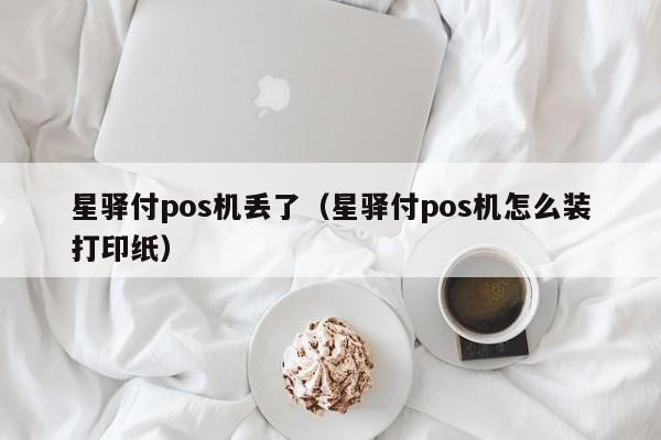 星驿付pos机丢了（星驿付pos机怎么装打印纸）