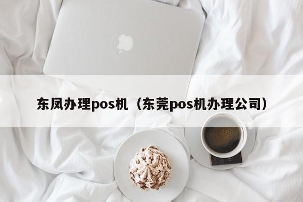 东凤办理pos机（东莞pos机办理公司）