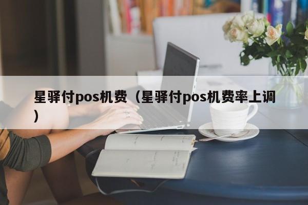 星驿付pos机费（星驿付pos机费率上调）