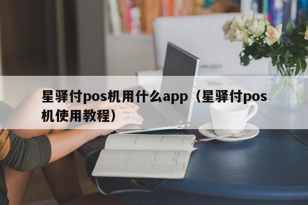 星驿付pos机用什么app（星驿付pos机使用教程）