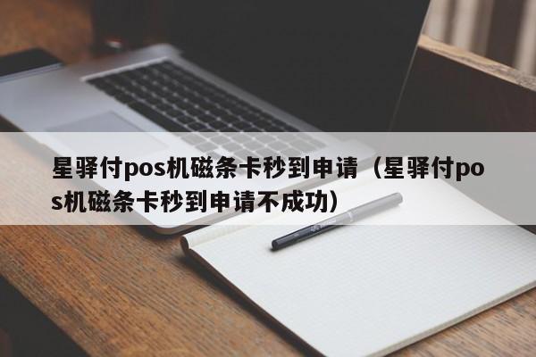 星驿付pos机磁条卡秒到申请（星驿付pos机磁条卡秒到申请不成功）