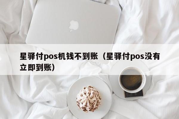 星驿付pos机钱不到账（星驿付pos没有立即到账）