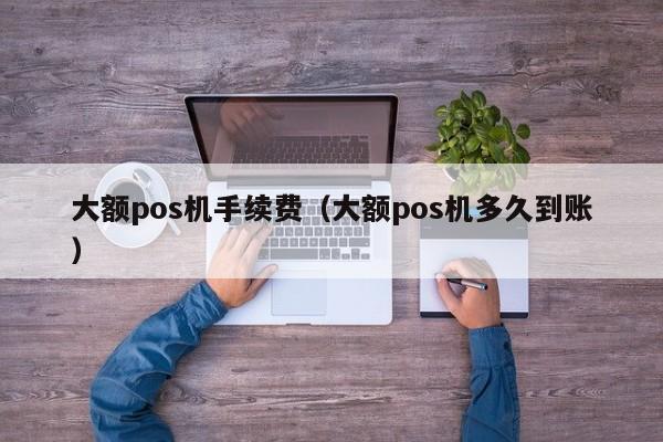 大额pos机手续费（大额pos机多久到账）