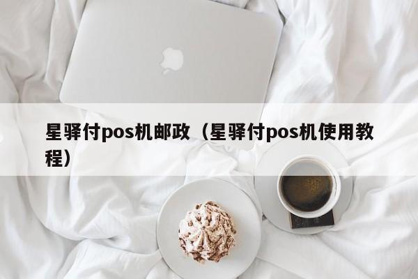 星驿付pos机邮政（星驿付pos机使用教程）