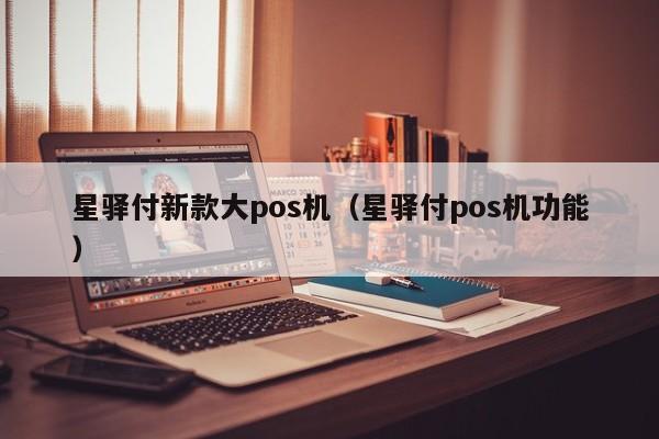 星驿付新款大pos机（星驿付pos机功能）