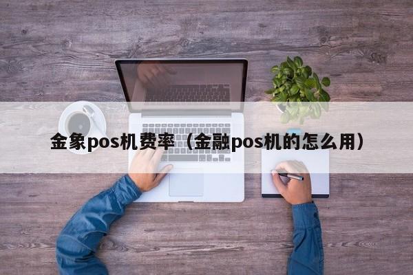 金象pos机费率（金融pos机的怎么用）