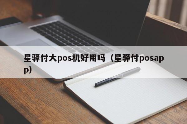 星驿付大pos机好用吗（星驿付posapp）