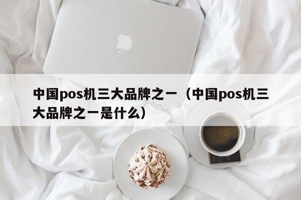 中国pos机三大品牌之一（中国pos机三大品牌之一是什么）