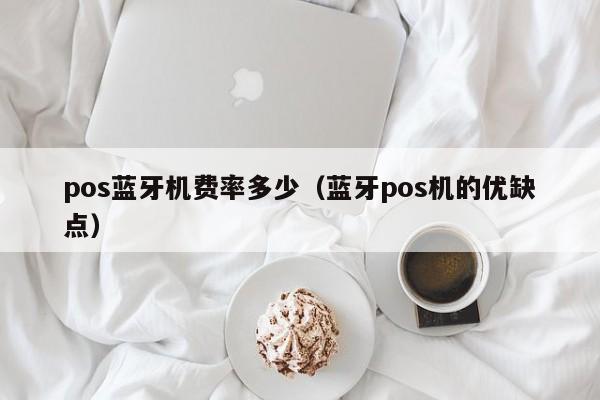 pos蓝牙机费率多少（蓝牙pos机的优缺点）