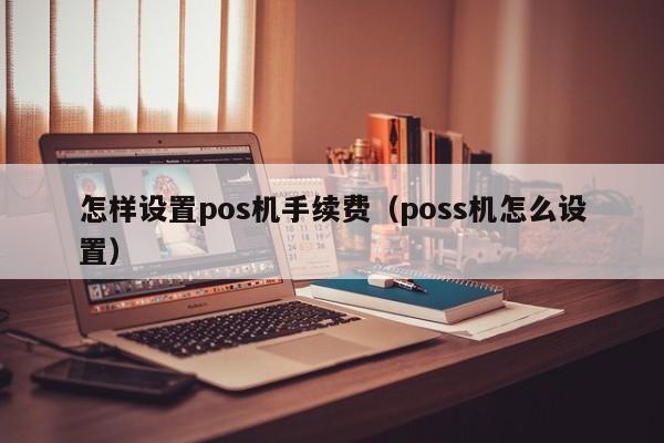 怎样设置pos机手续费（poss机怎么设置）