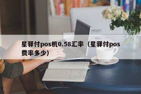 星驿付pos机0.58汇率（星驿付pos费率多少）