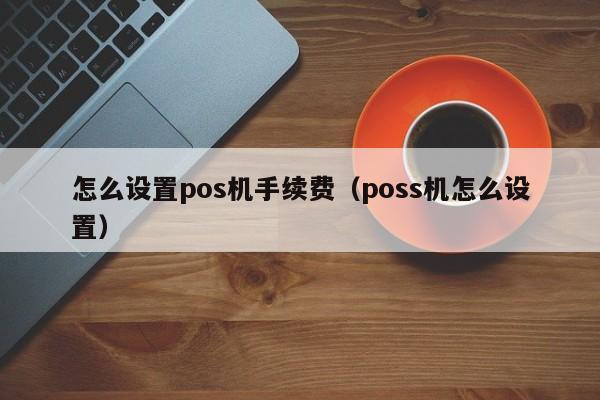 怎么设置pos机手续费（poss机怎么设置）