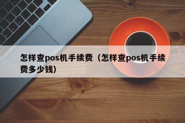 怎样查pos机手续费（怎样查pos机手续费多少钱）