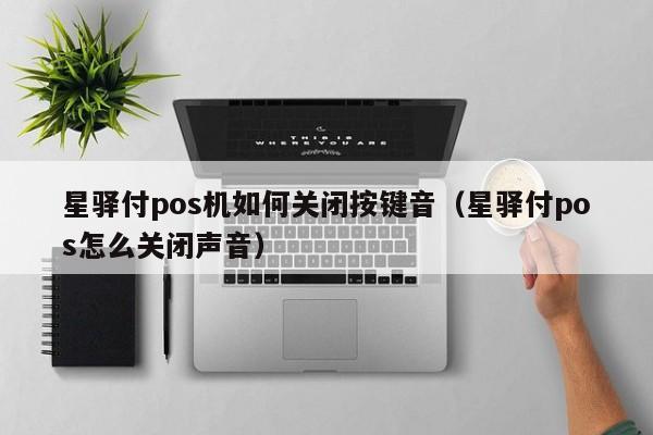 星驿付pos机如何关闭按键音（星驿付pos怎么关闭声音）