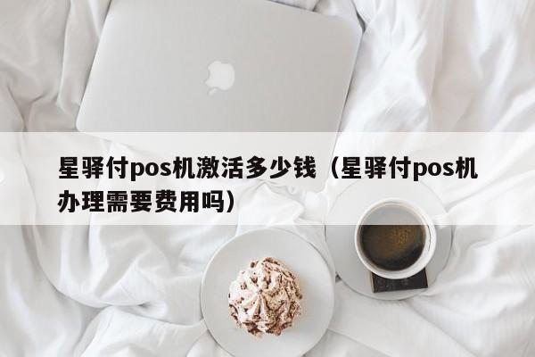 星驿付pos机激活多少钱（星驿付pos机办理需要费用吗）