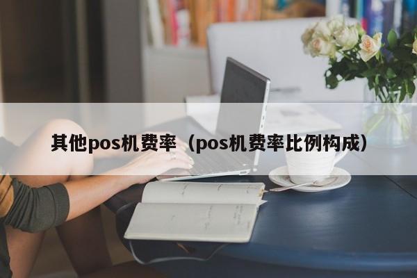 其他pos机费率（pos机费率比例构成）