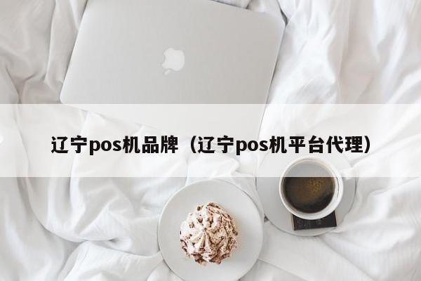 辽宁pos机品牌（辽宁pos机平台代理）