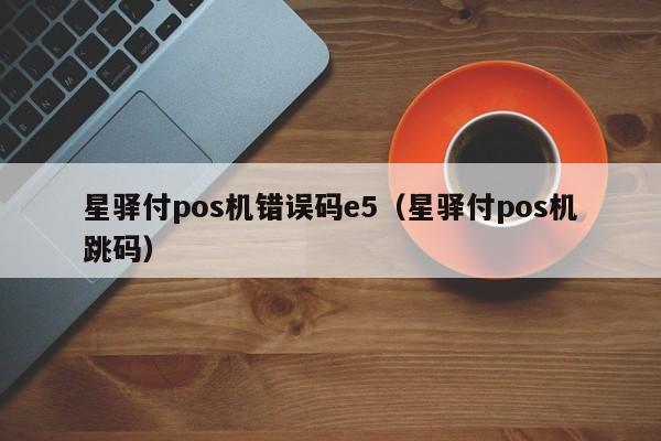 星驿付pos机错误码e5（星驿付pos机跳码）